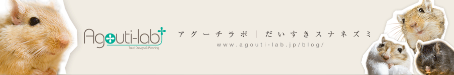 アグーチラボ｜Agouti-lab