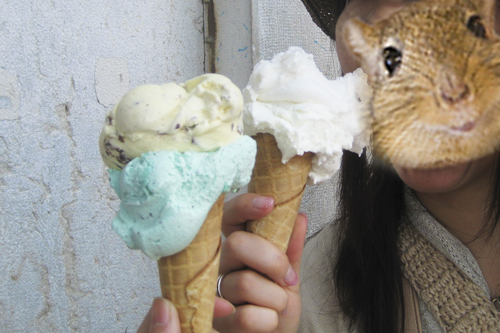 アイス.jpg